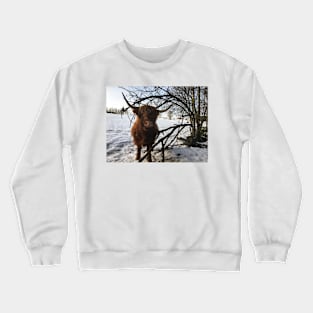 Scottish Highland Cattle Cow 2227 Crewneck Sweatshirt